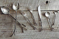 Bronze Sapling Flatware & Servers
